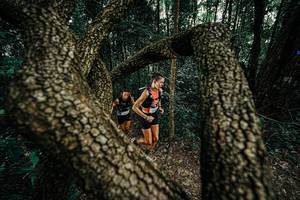 BIB: 
                            <button type="button" onclick="openModal(25389754)" class="btn btn-primary btn-sm float-right btn-popup" data-toggle="modal" data-target=".modal-high-quality">
                        <i class="fas fa-shopping-cart"></i> Add to Cart
                    </button>
                                            <button type="button" onclick="isThisMe(25389754, true)" class="btn btn-success btn-sm float-right btn-popup btn-isme hidden" data-toggle="tooltip" data-placement="bottom" title="นี่คือรูปของคุณใช่ไหม คลิกที่นี่เพื่อเอาเข้าอัลบั้ม">
                        <i class="fas fa-plus"></i> Add to album
                    </button>
                    <button type="button" onclick="isThisMe(25389754, false)" class="btn btn-warning btn-sm float-right btn-popup btn-isnotme hidden">
                        <i class="fas fa-ban"></i> Remove from album
                    </button>